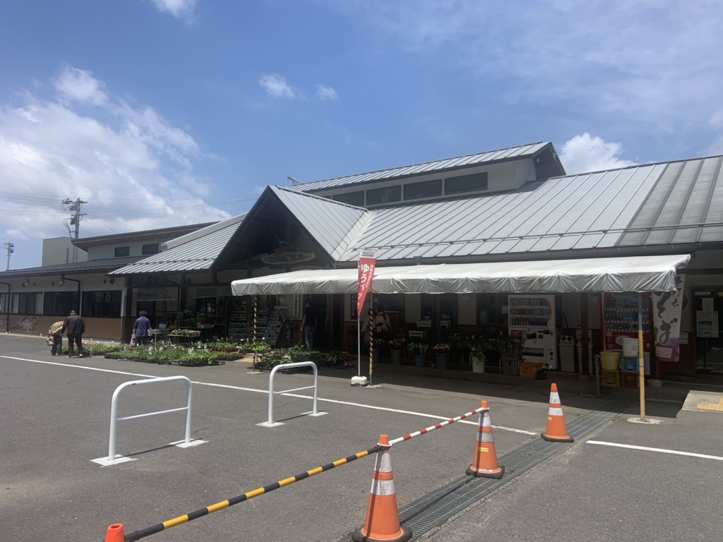 投稿された画像