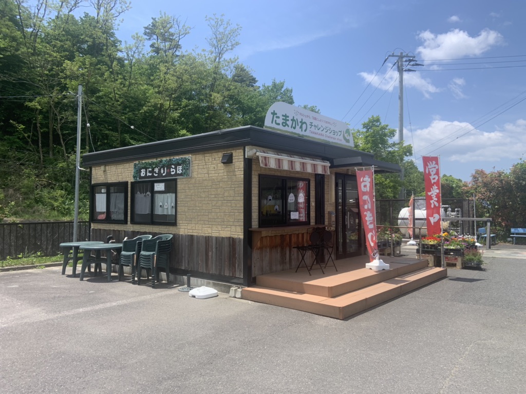 投稿された画像