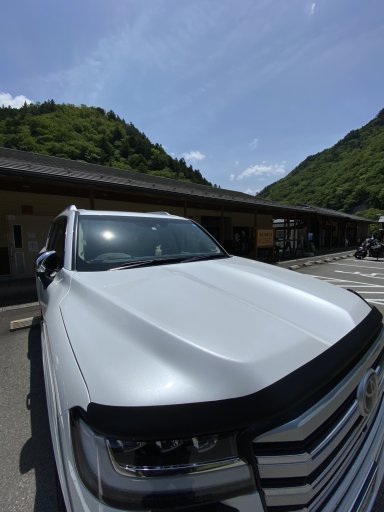 投稿された画像