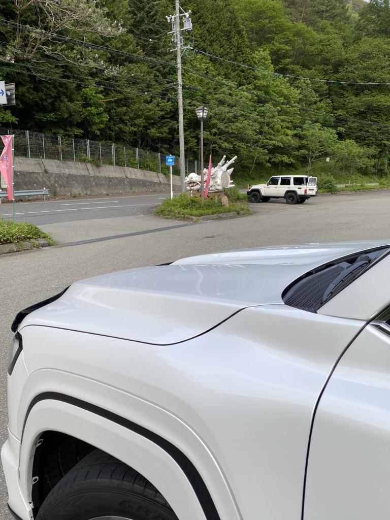 投稿された画像