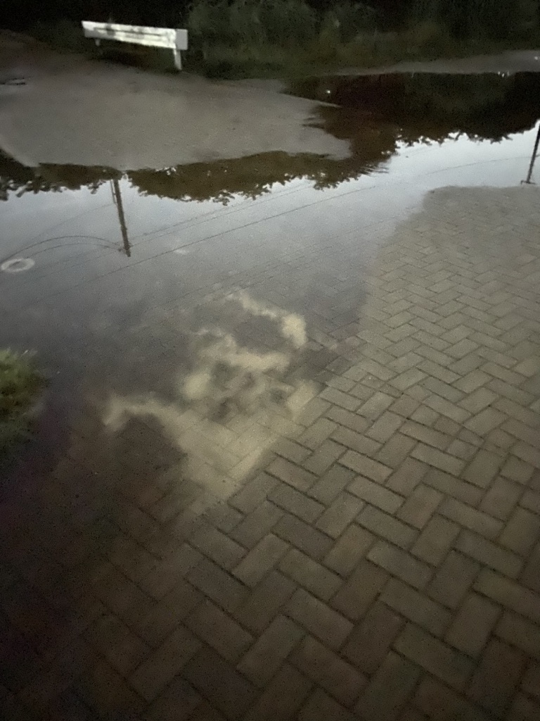 投稿された画像