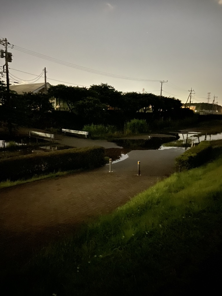 投稿された画像