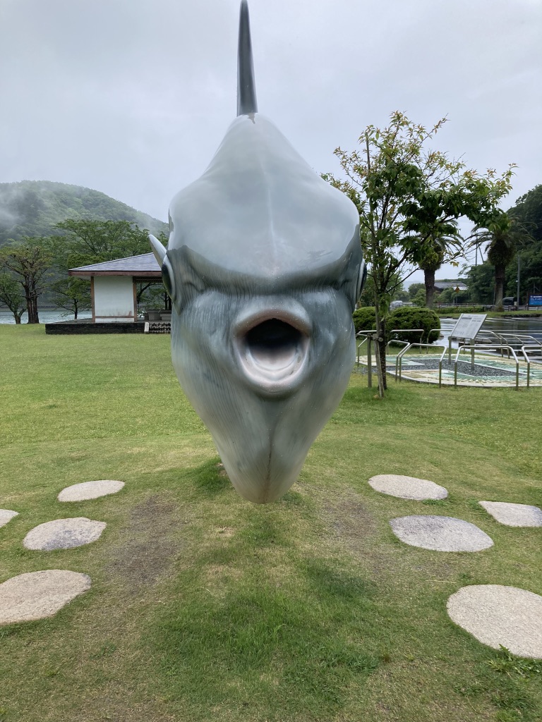 投稿された画像