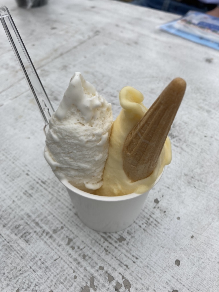 投稿された画像