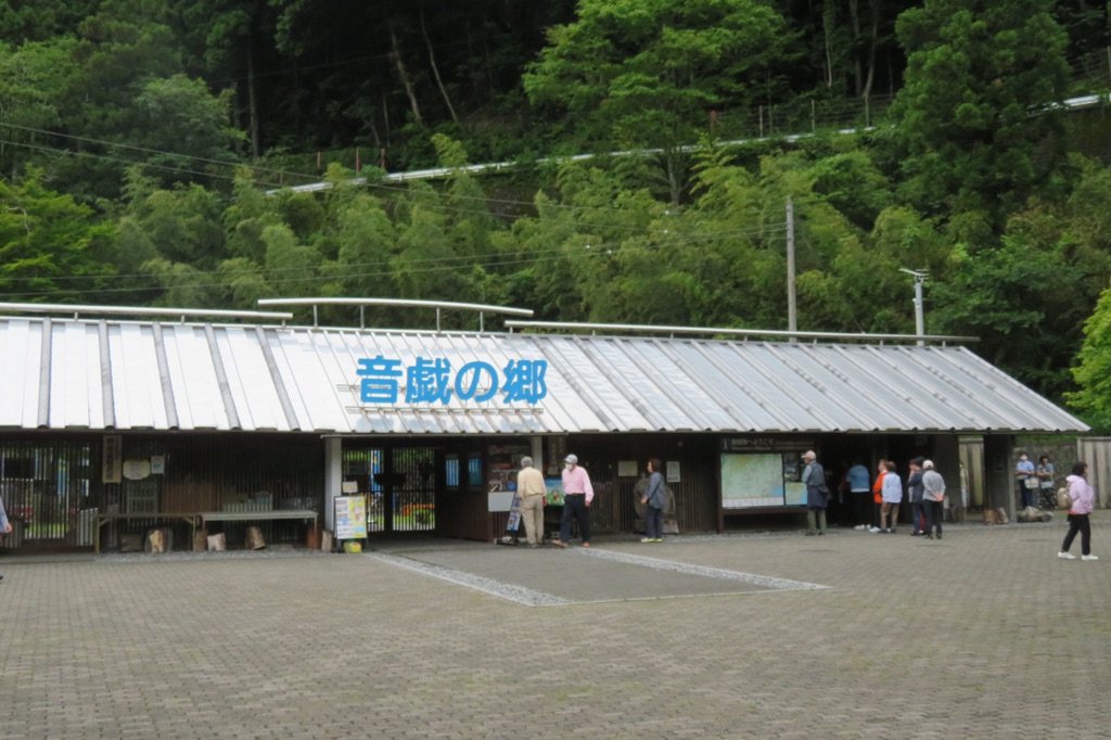 投稿された画像