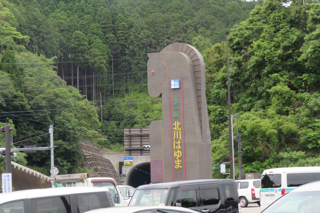 投稿された画像