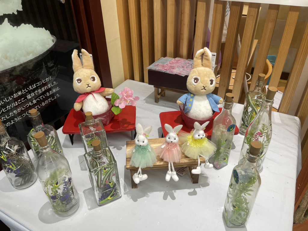 投稿された画像