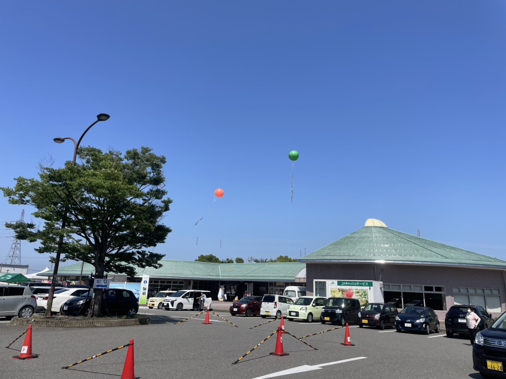 投稿された画像