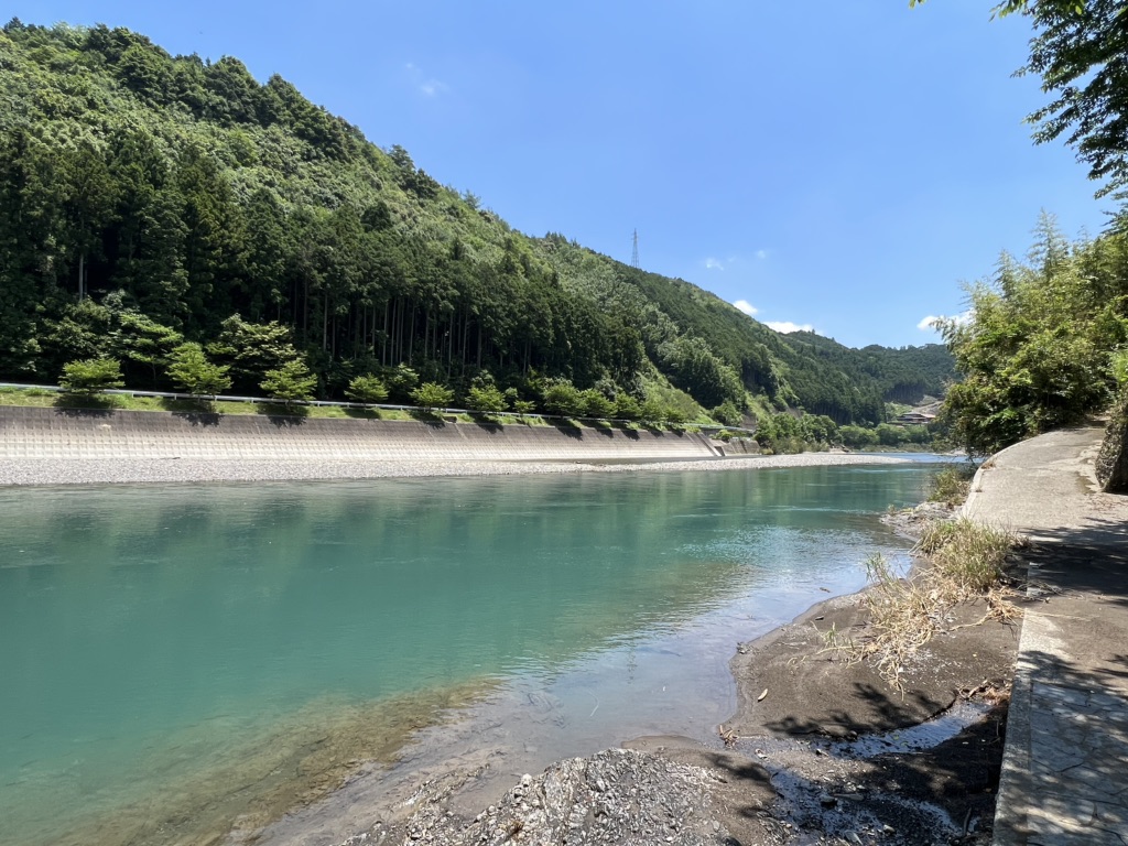 投稿された画像