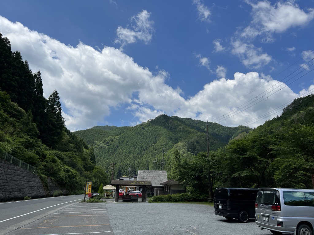 投稿された画像