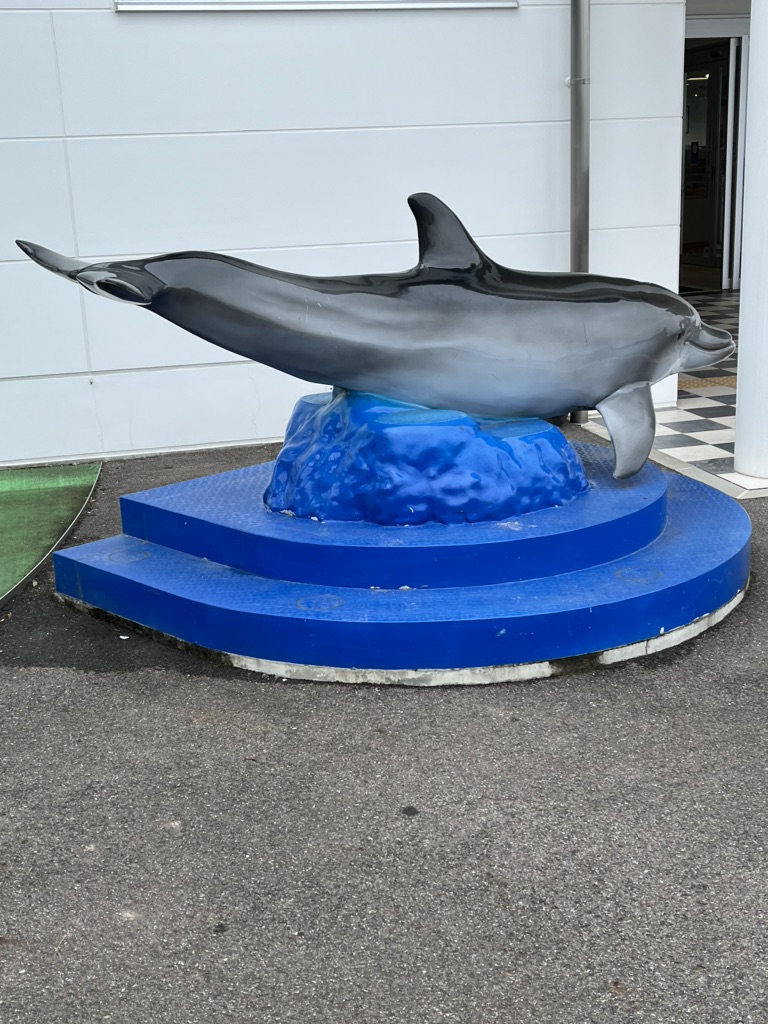 投稿された画像