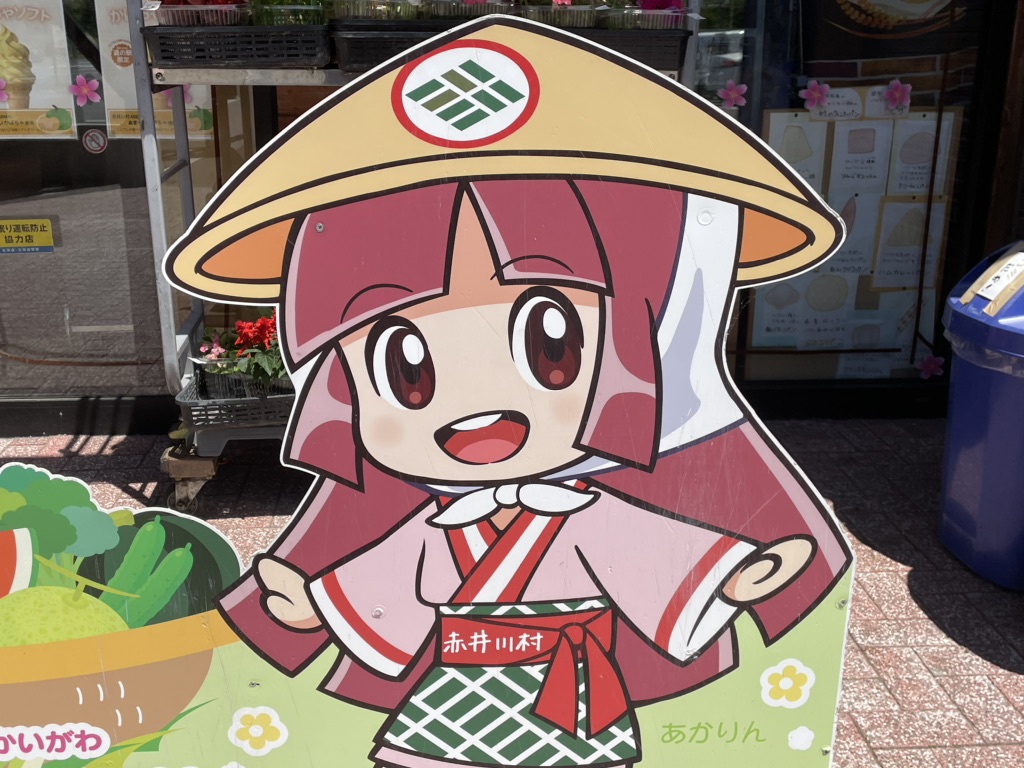 投稿された画像