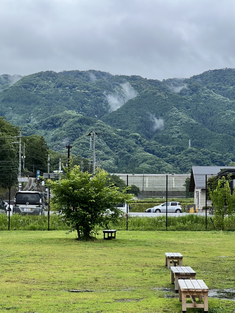 投稿された画像