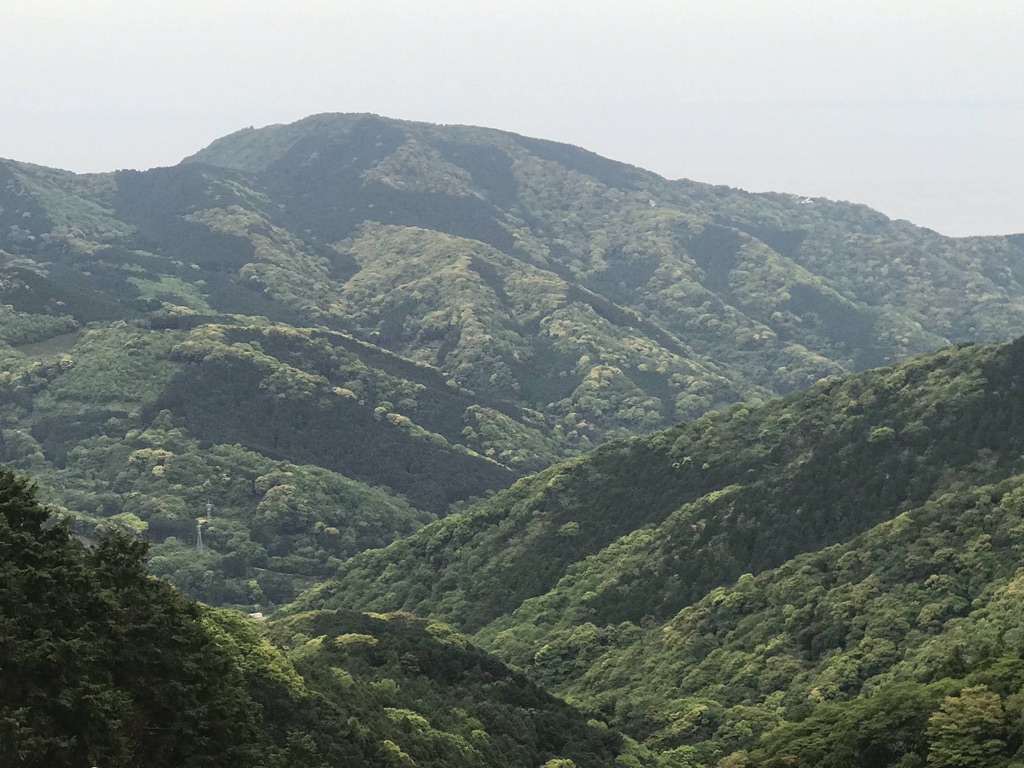 投稿された画像