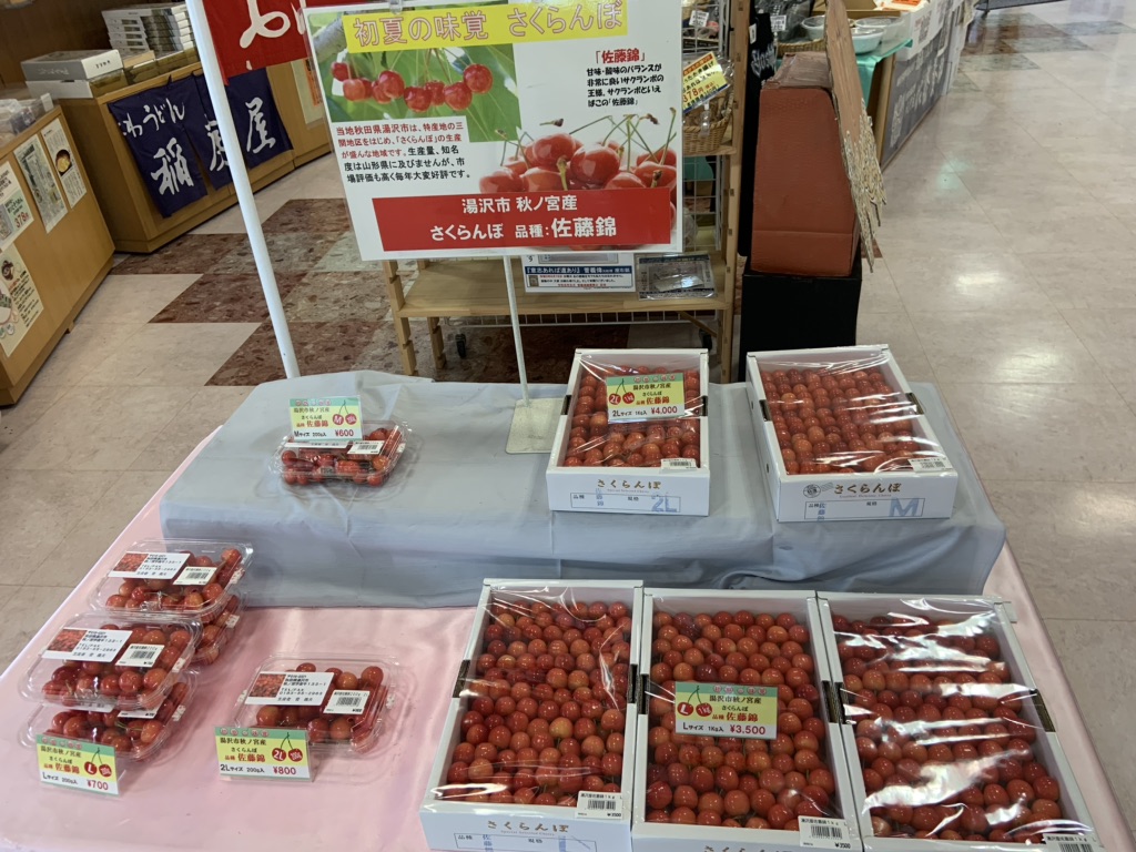 投稿された画像