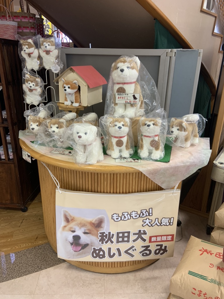 投稿された画像