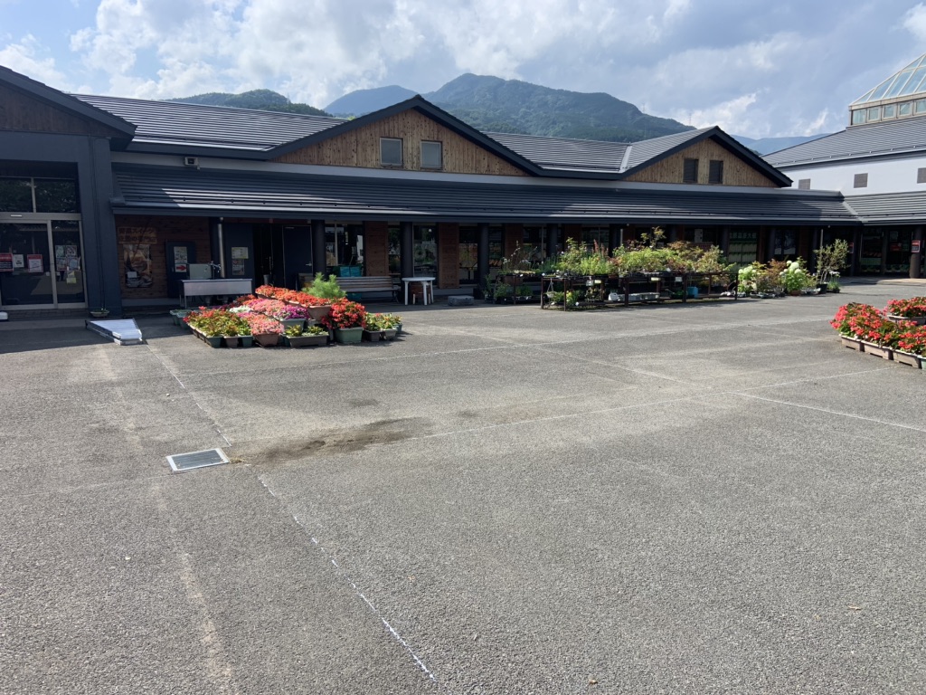 投稿された画像