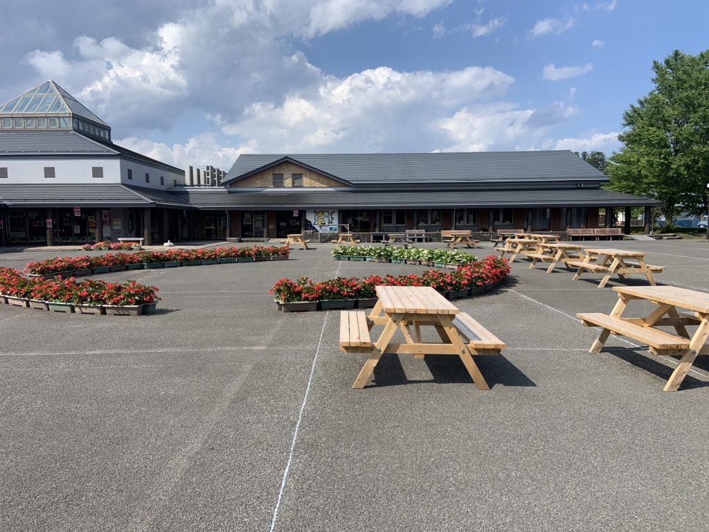 投稿された画像