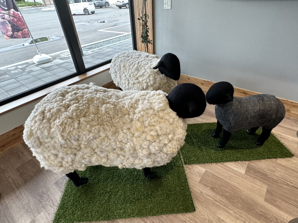 投稿された画像