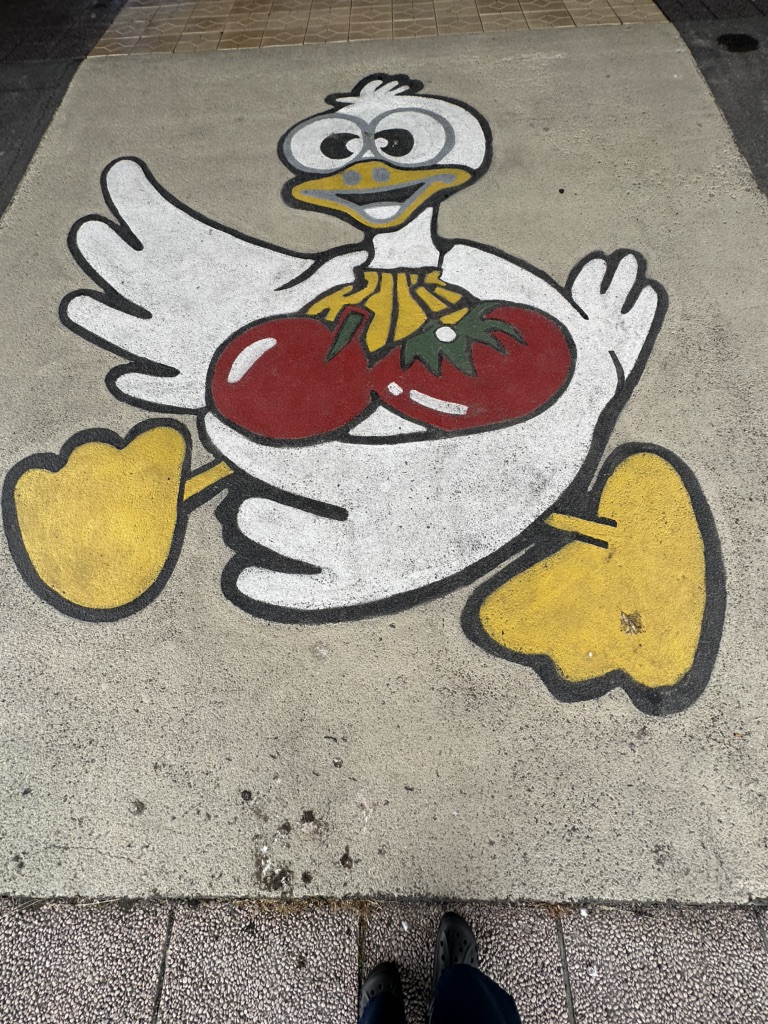 投稿された画像