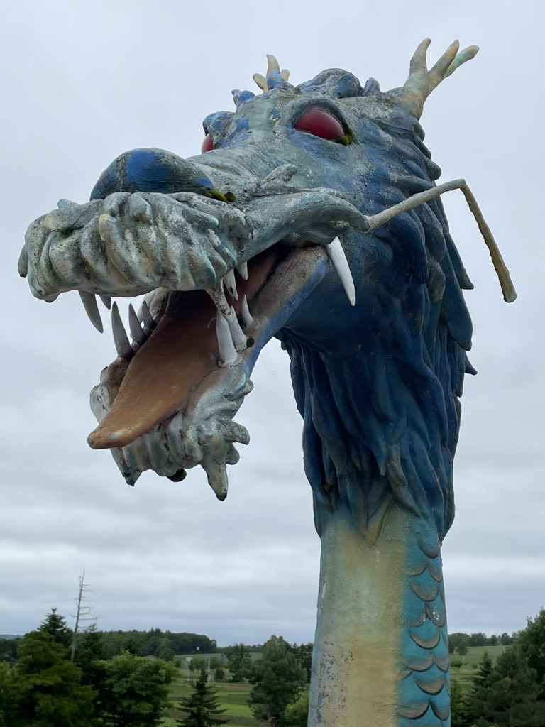 投稿された画像