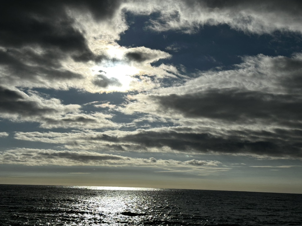 投稿された画像