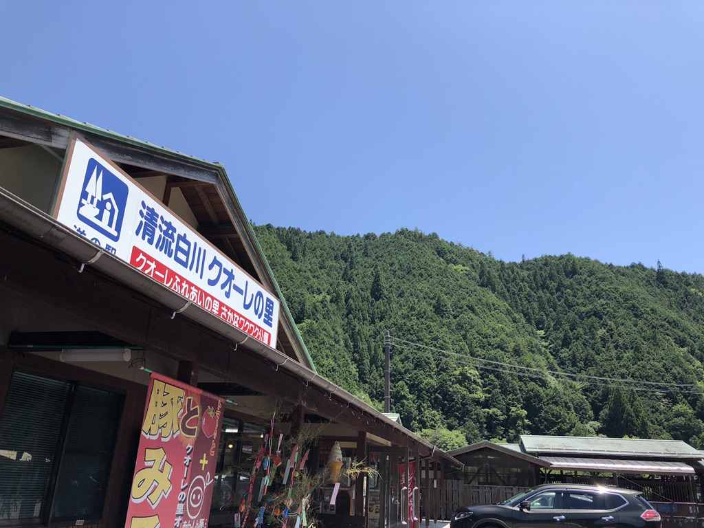 投稿された画像