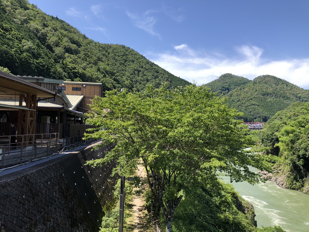 投稿された画像