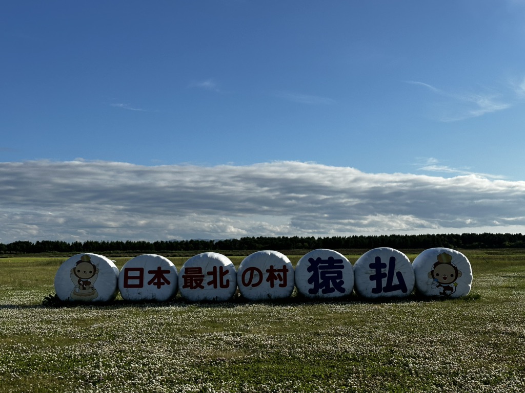 投稿された画像