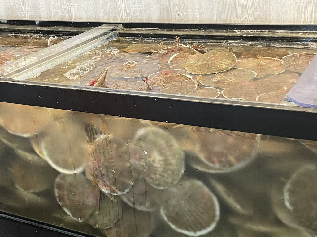 投稿された画像