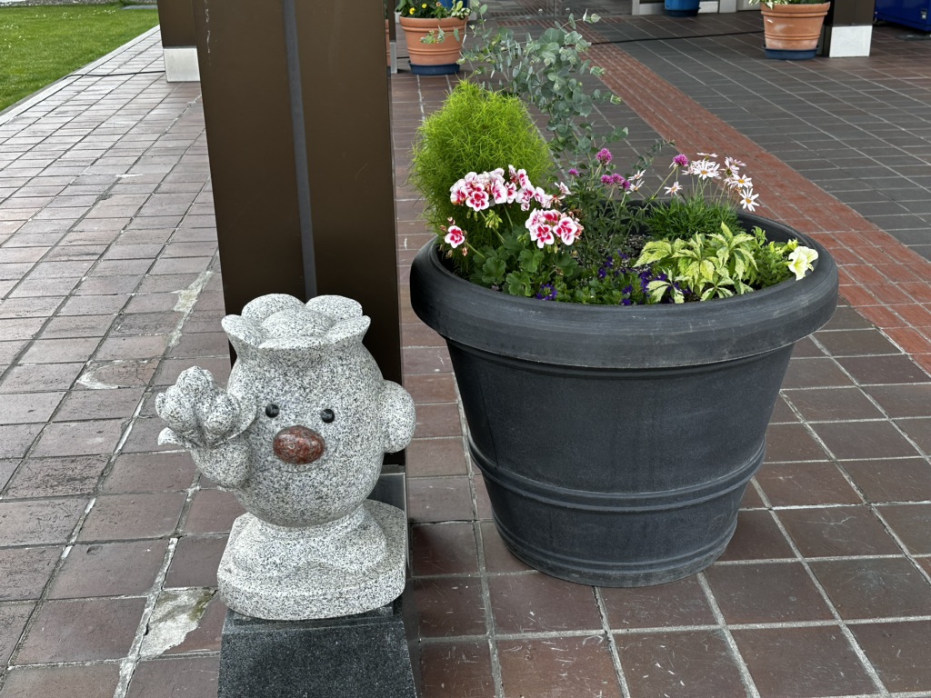 投稿された画像