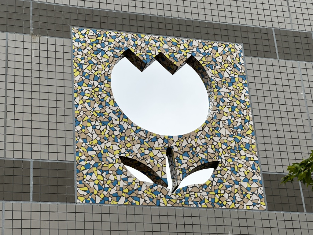 投稿された画像