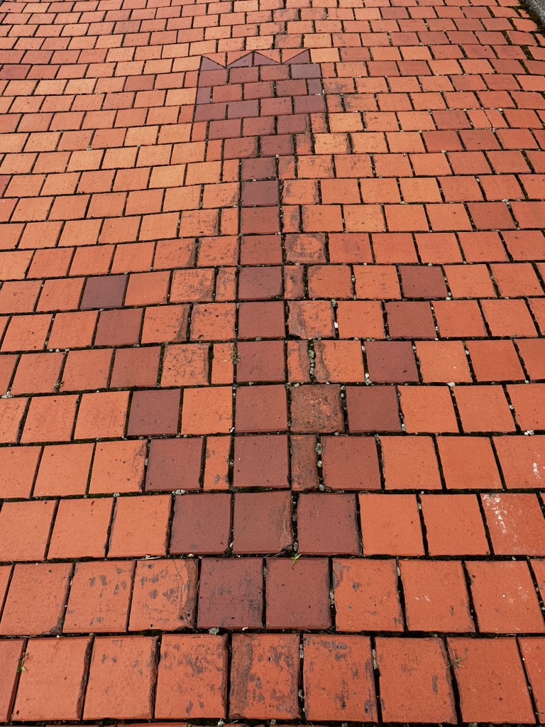 投稿された画像