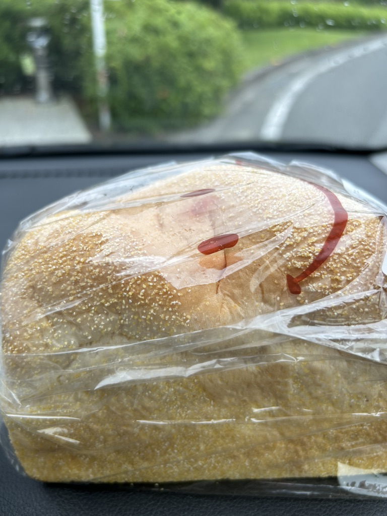 投稿された画像