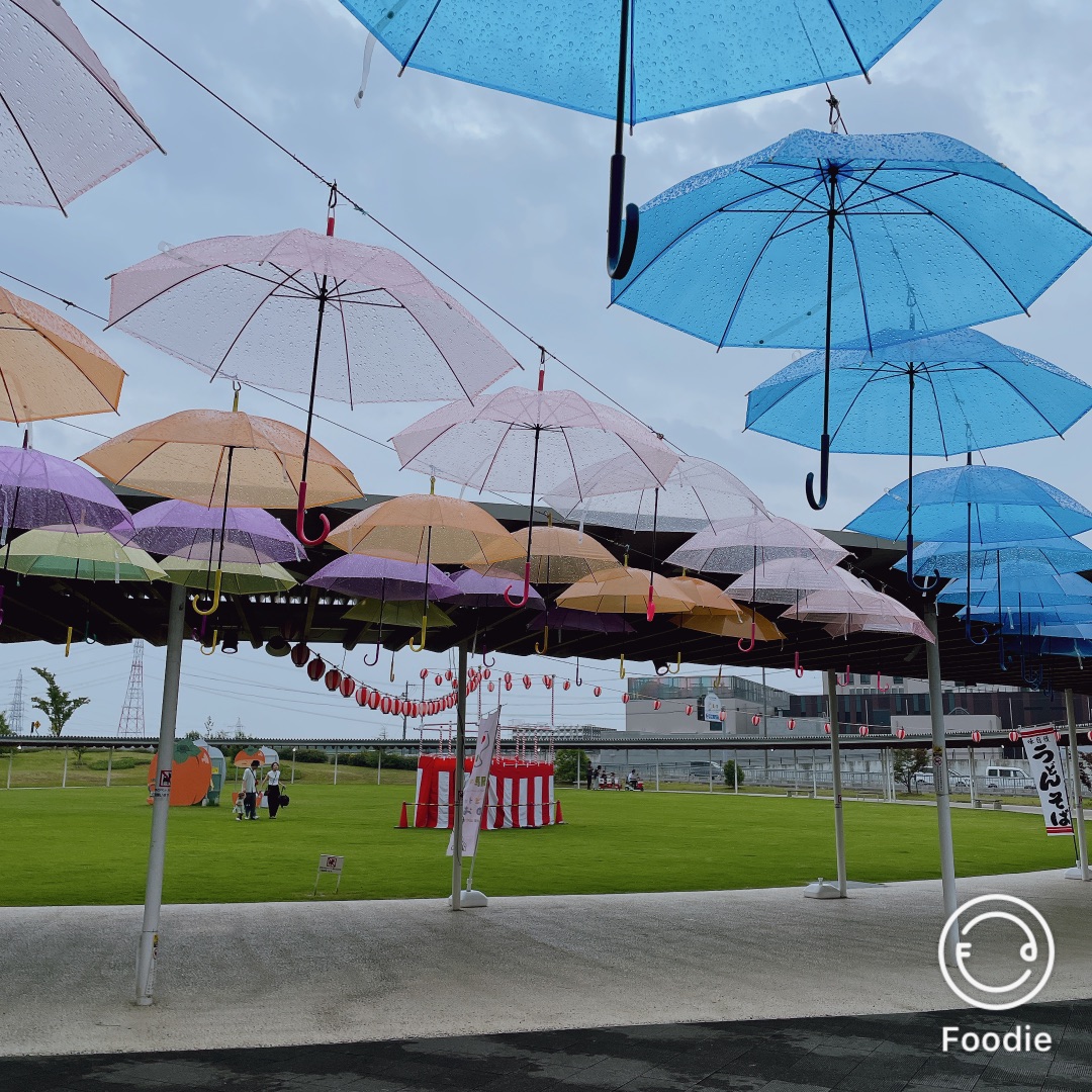 投稿された画像