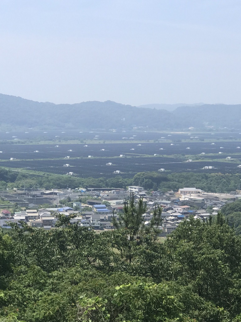 投稿された画像