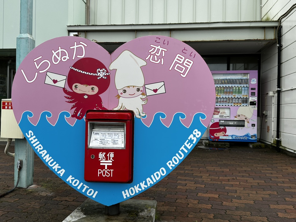 投稿された画像