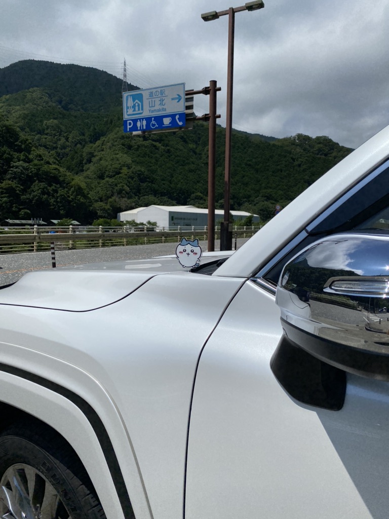 投稿された画像