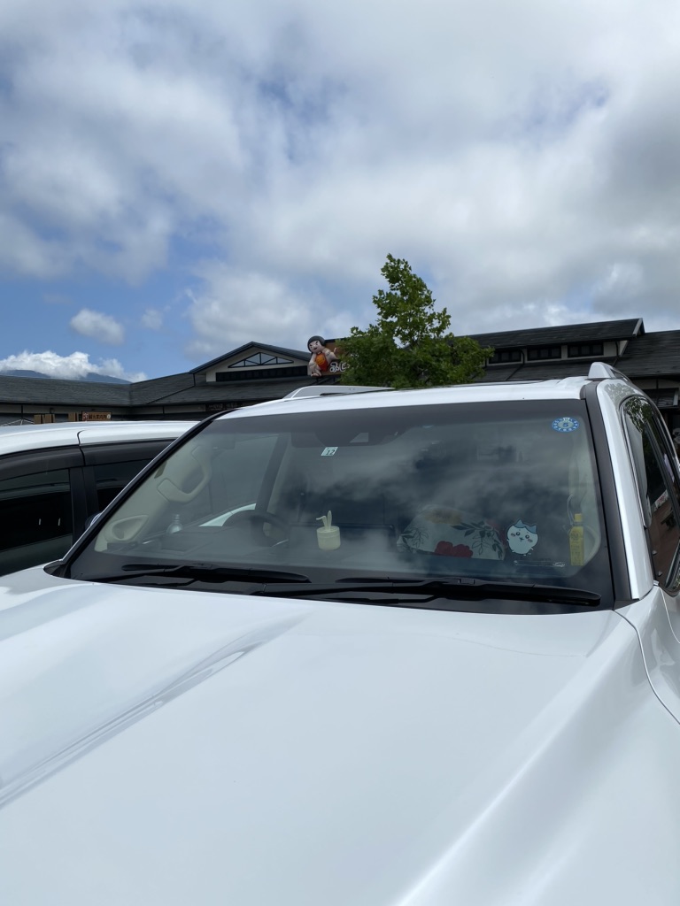 投稿された画像