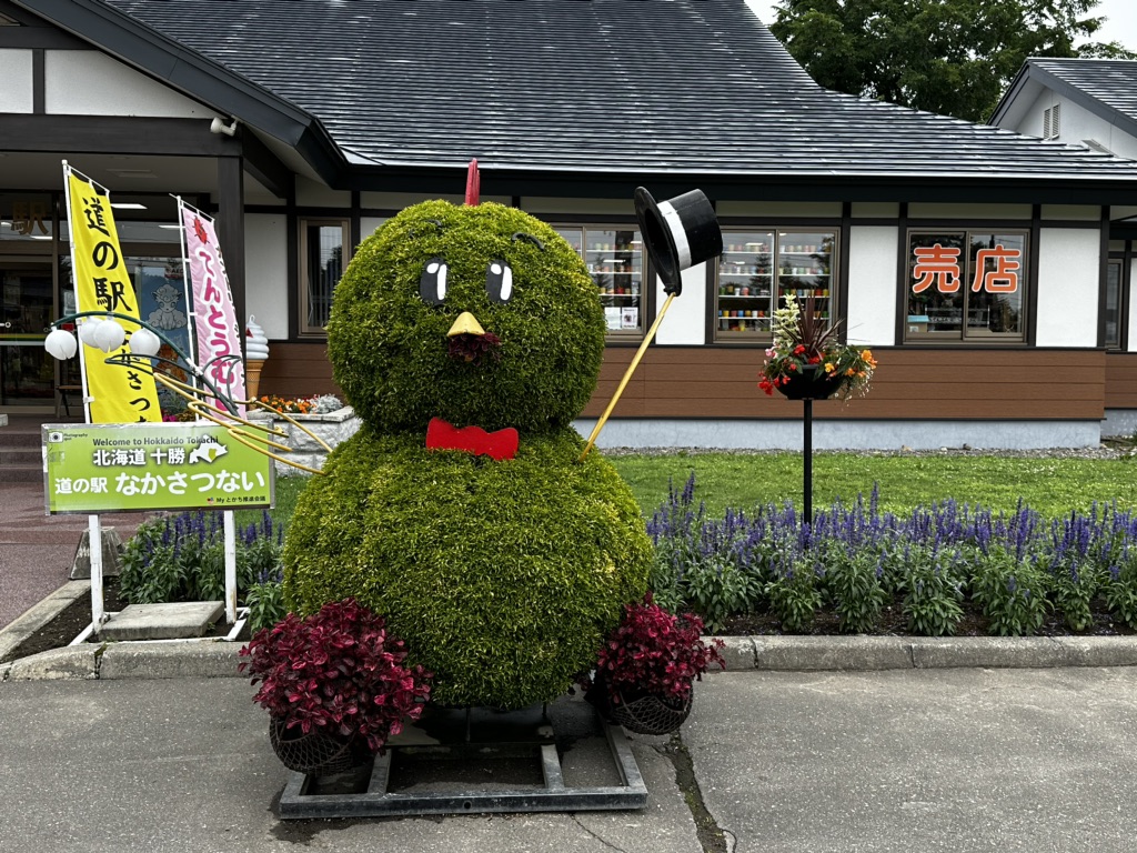 投稿された画像