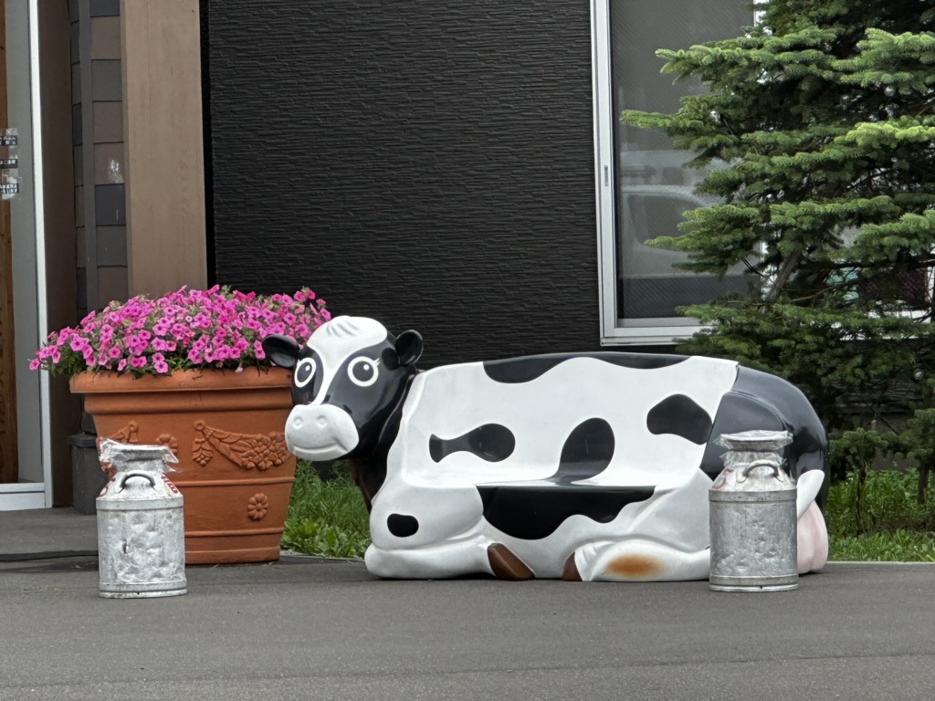 投稿された画像