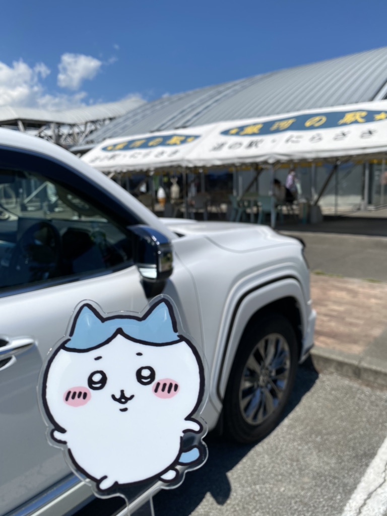投稿された画像