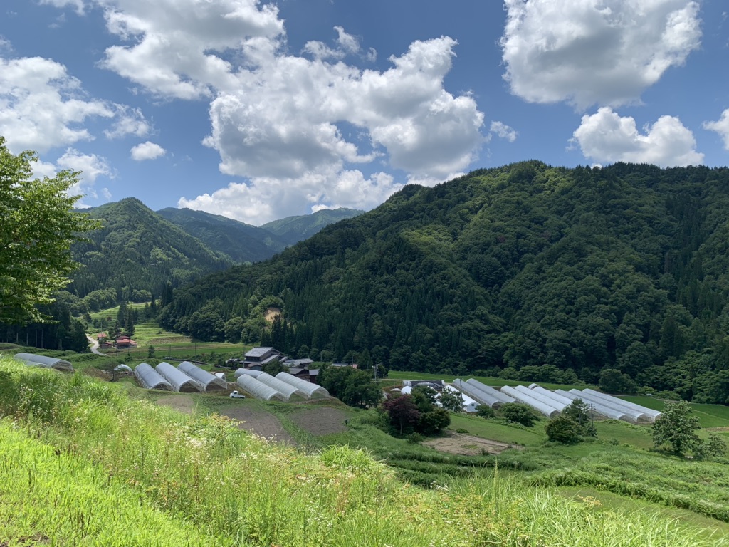 投稿された画像