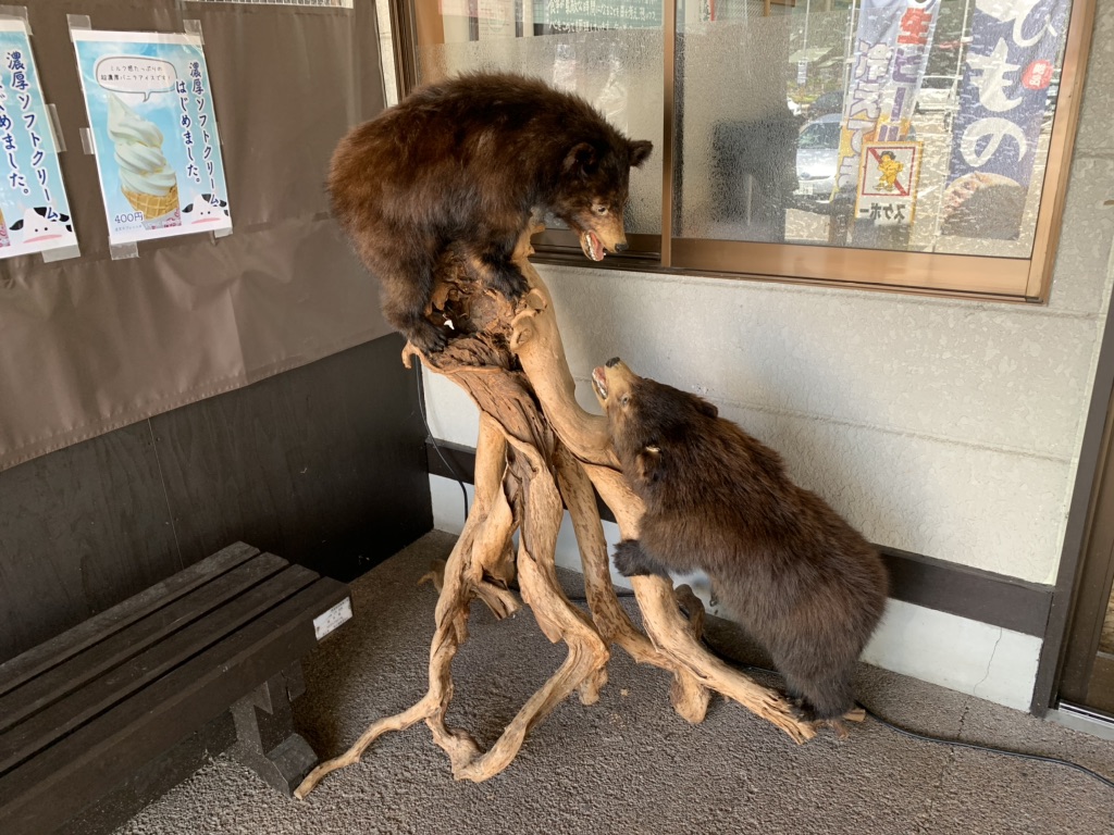 投稿された画像