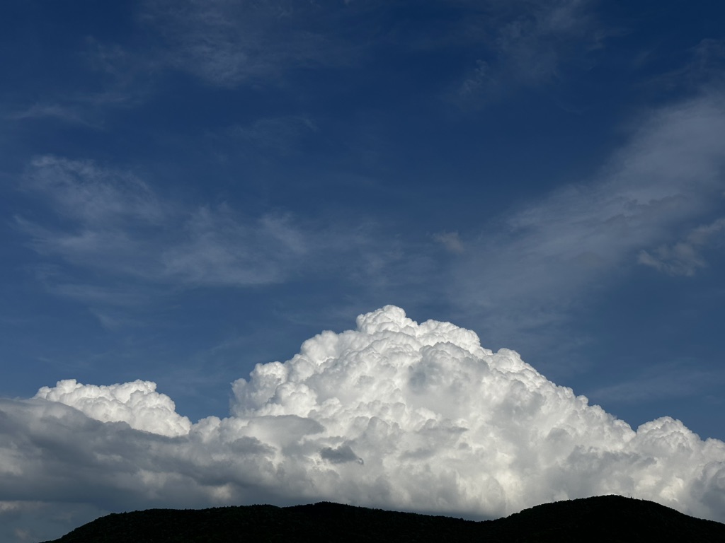 投稿された画像