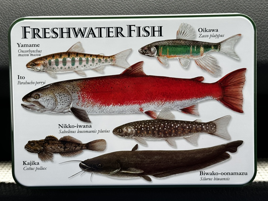 投稿された画像