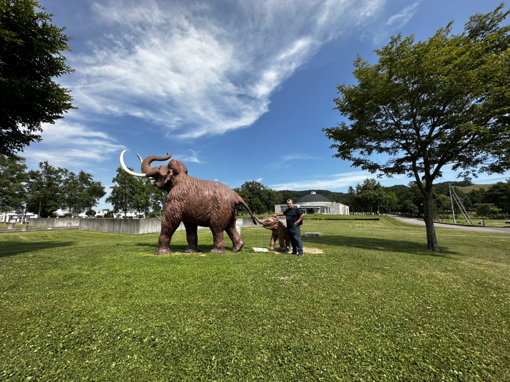 投稿された画像