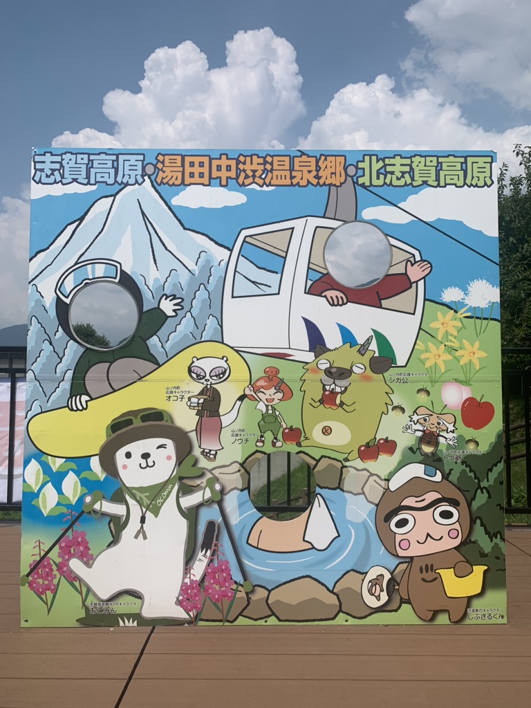 投稿された画像