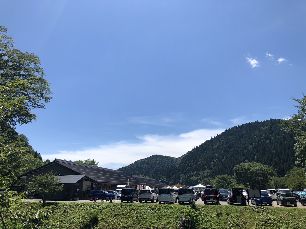 投稿された画像