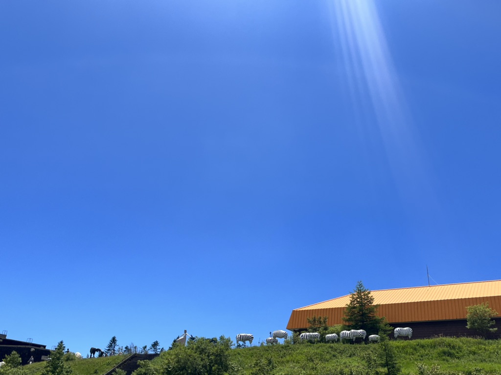 投稿された画像